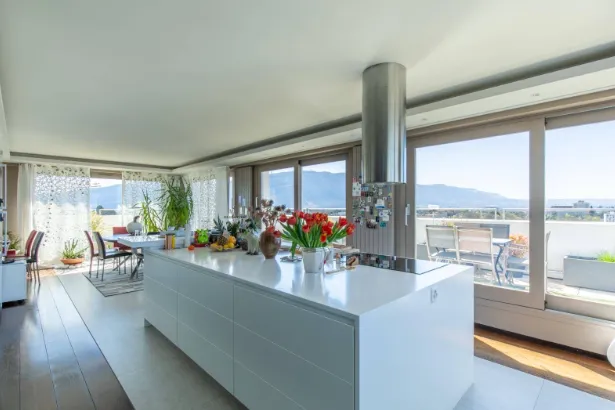 penthouse-geneve-duplex-palmer-properties